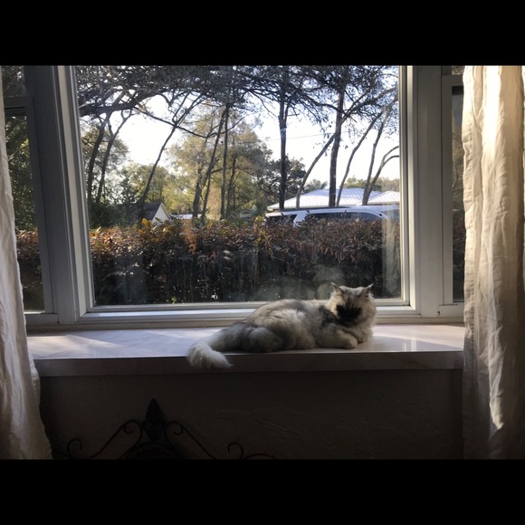 Meet your Posher, Carol - Picture 12 of 12